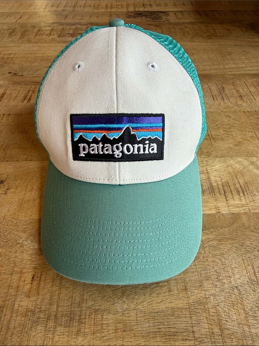 Patagonia Cap in Teal, White and Purple Accent